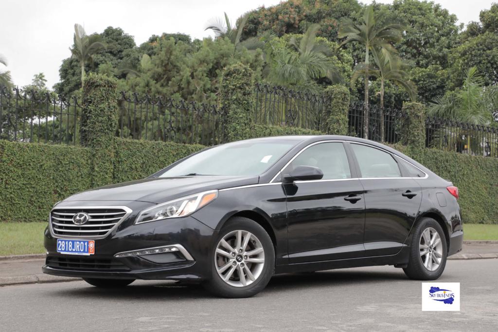 Hyundai sonata business